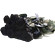 Black roses. Order lovely black roses. Sochi