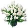 White Tulips. Tulips are delicated and refined flowers that symbolize spring and romance. They are ususally available since February till April. At other times during the year their stock may be limited.. Sochi