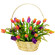 Spring rainbow. Classic spirng flower arrangement of mixed color tulips in a basket.. Sochi